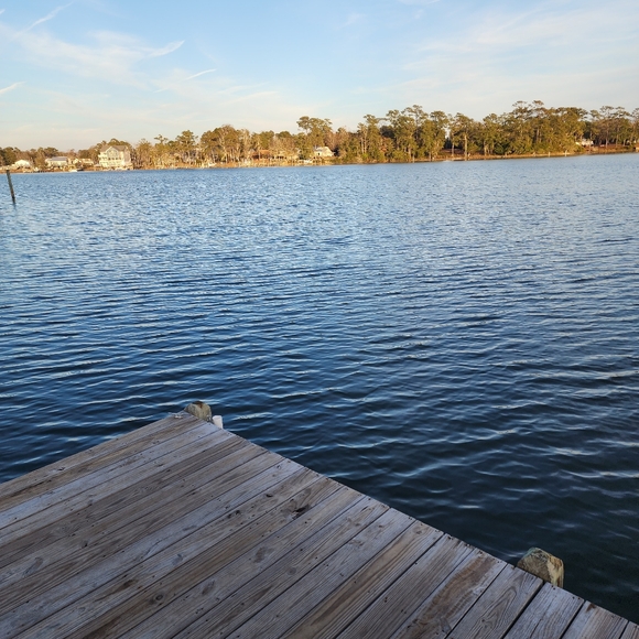 Meet your Posher, Thomas - Picture 5 of 8